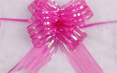 Elezioni Settemari Il Direttivo si tinge di rosa