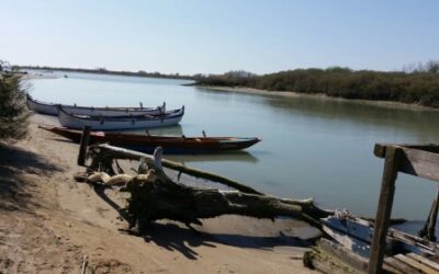 Vogata del 7 Aprile – Bissaboba